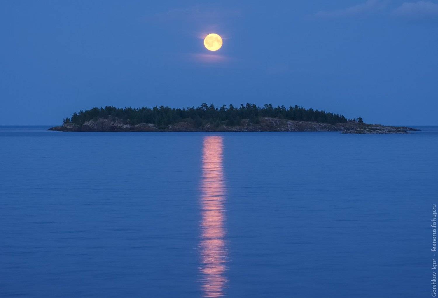 ладога,пейзаж,природа,вечер,луна, остров,россия,озеро,небо,полнолуние,ночь, Горшков Игорь
