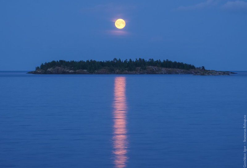 ладога,пейзаж,природа,вечер,луна, остров,россия,озеро,небо,полнолуние,ночь Полнолуние над Ладогой фото превью