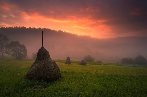 Morning silence