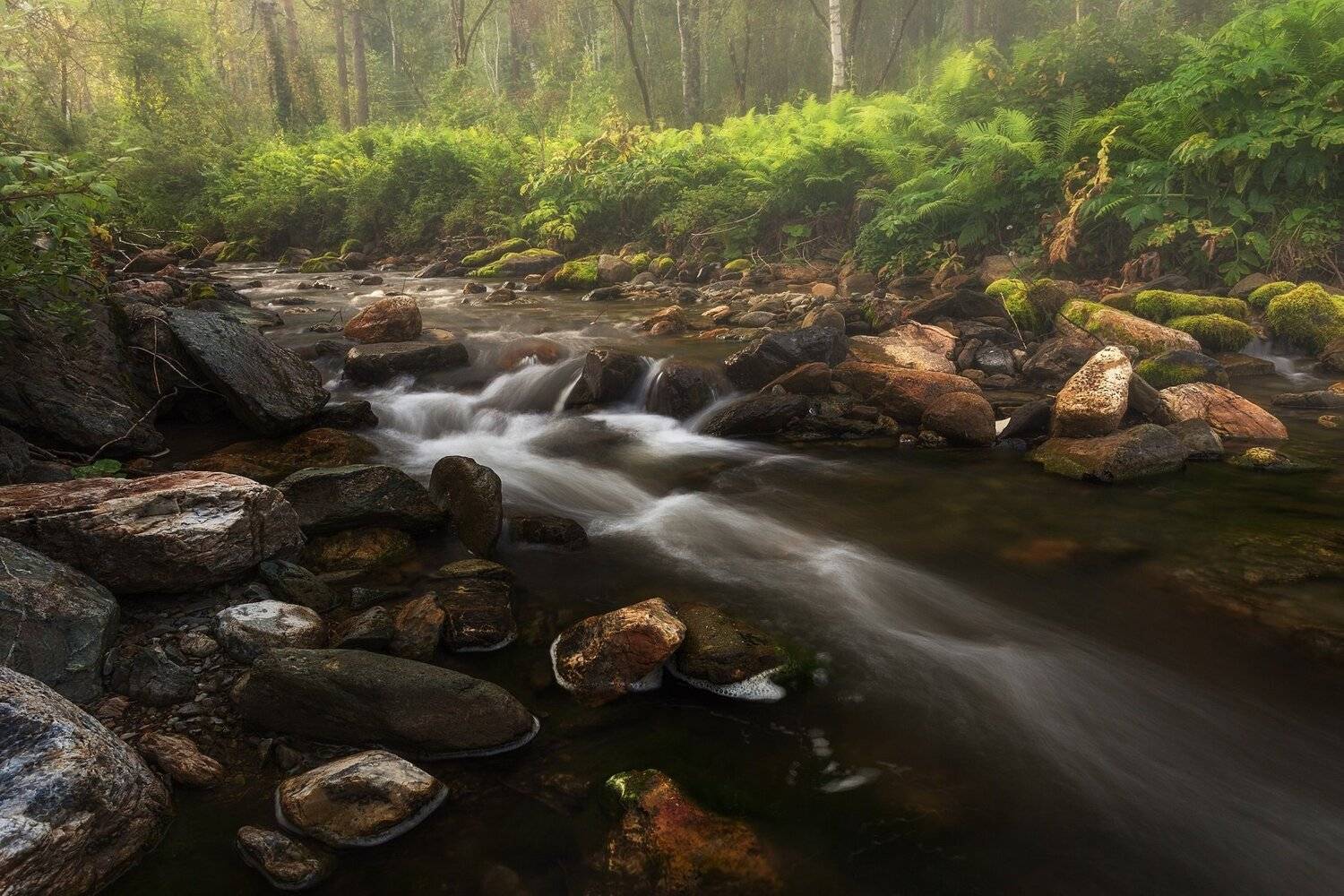 река, ручей, лес, утро, туман, Павел Попов