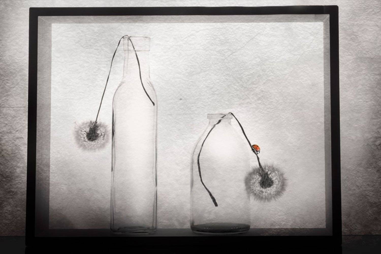 , Людмила Прокофьева