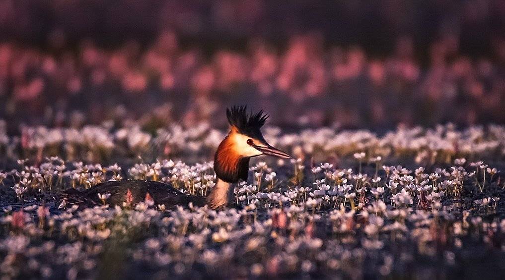 , Вячеслав Мищенко