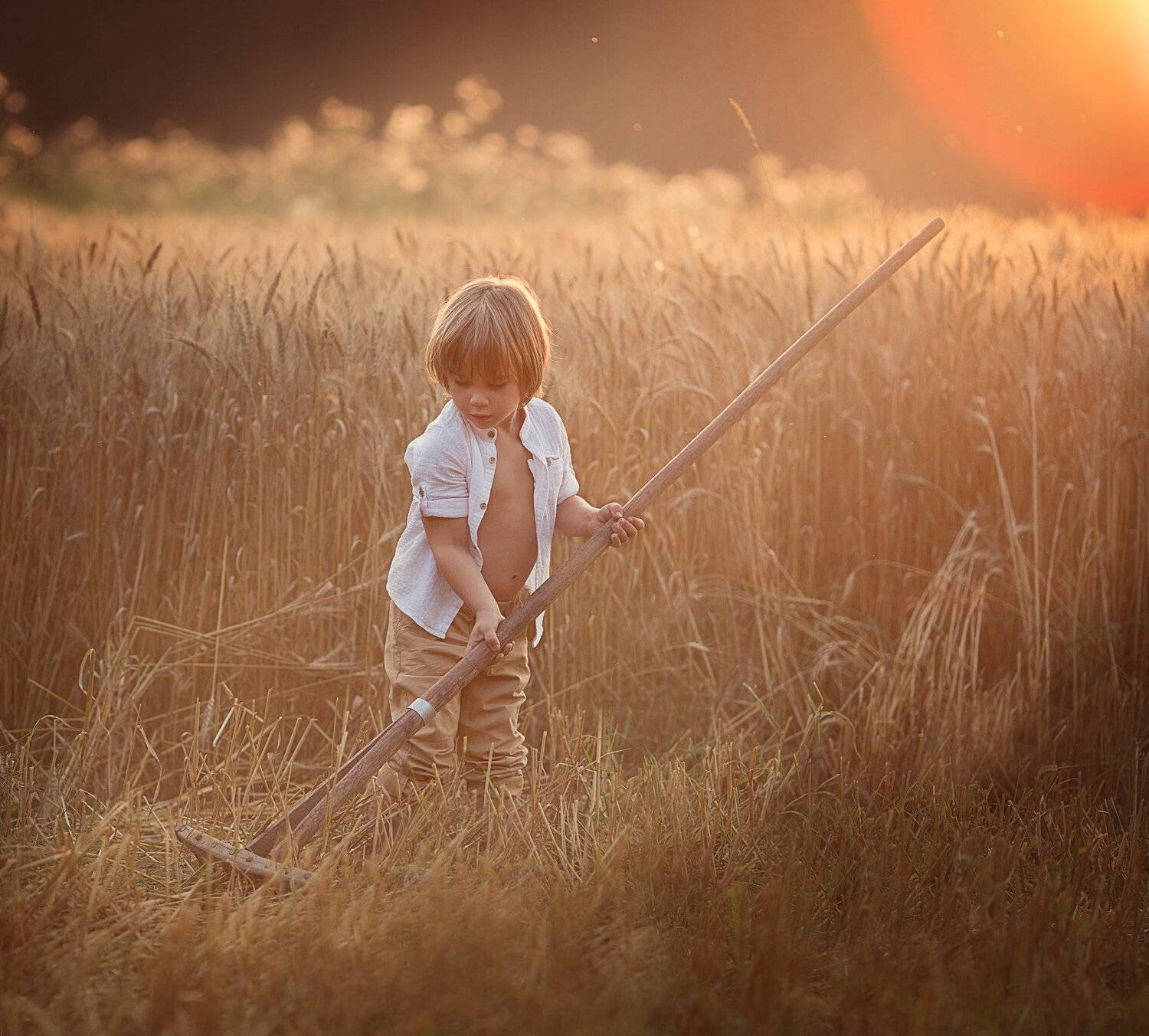 , Диана Аникеева