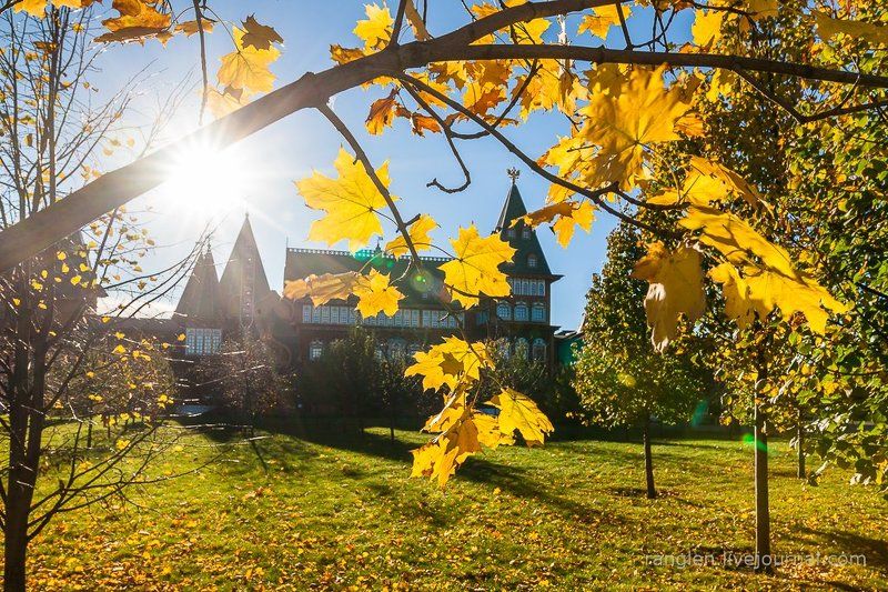 коломенское, москва, осень, золотая, небо, пейзаж Дворец и осень фото превью