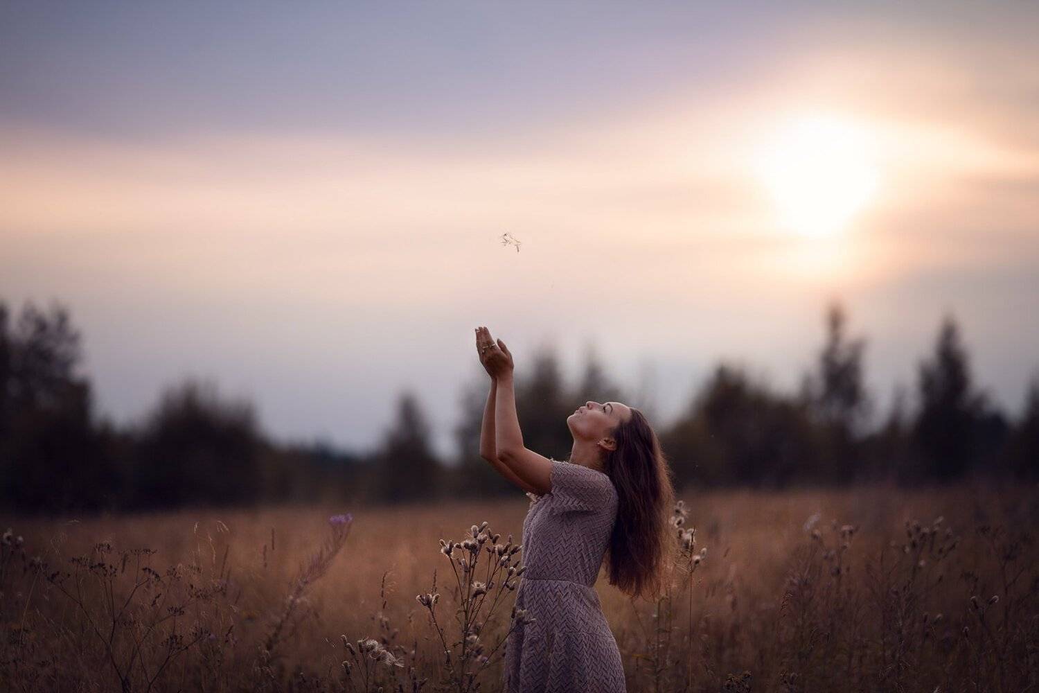 , Елена Силина