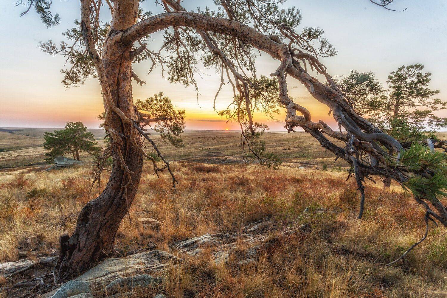 , Павел Сагайдак