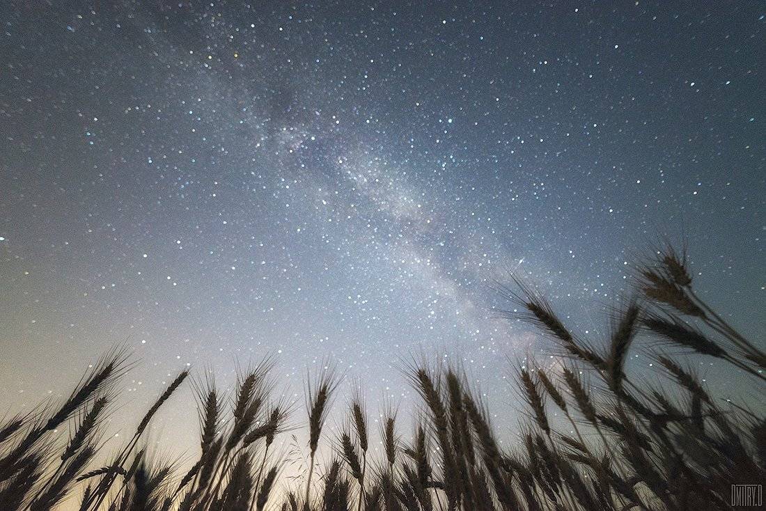 , Дмитрий Доронин