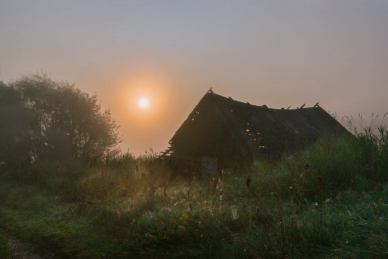 россия, природа, река, угра, смоленская область, август, 2017, рассвет, туман, nikon, пейзаж, сарай, утро, солнце, рассвет  фото превью