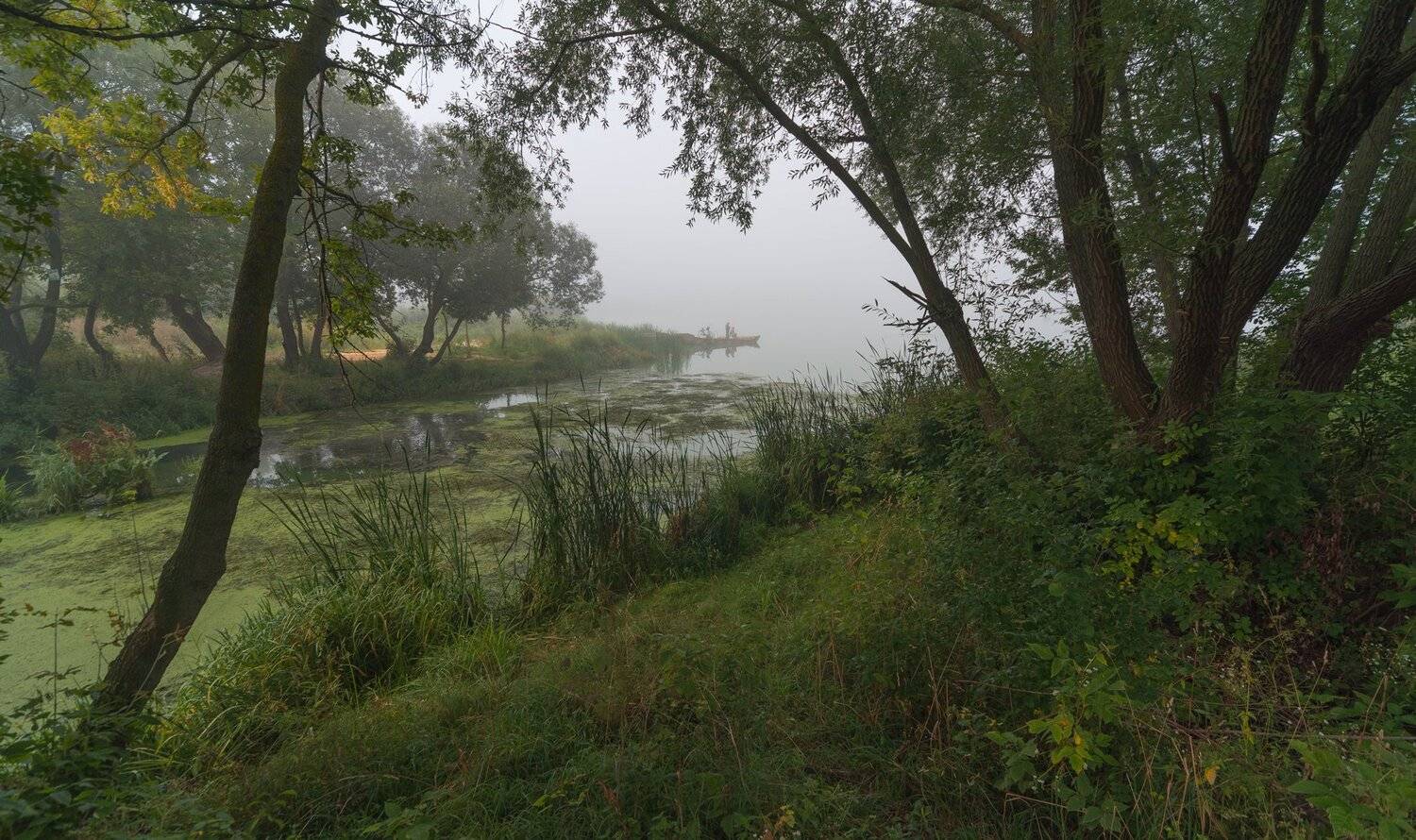 , Николай Шахманцир