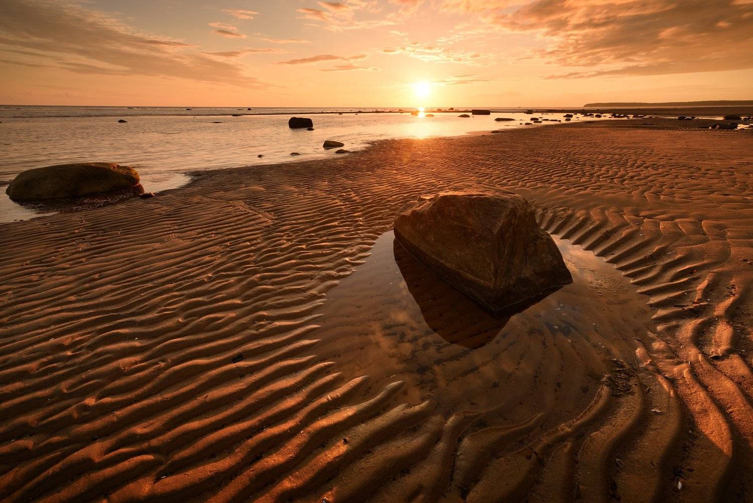 , Максим Евдокимов (www.wildphotorus.ru)