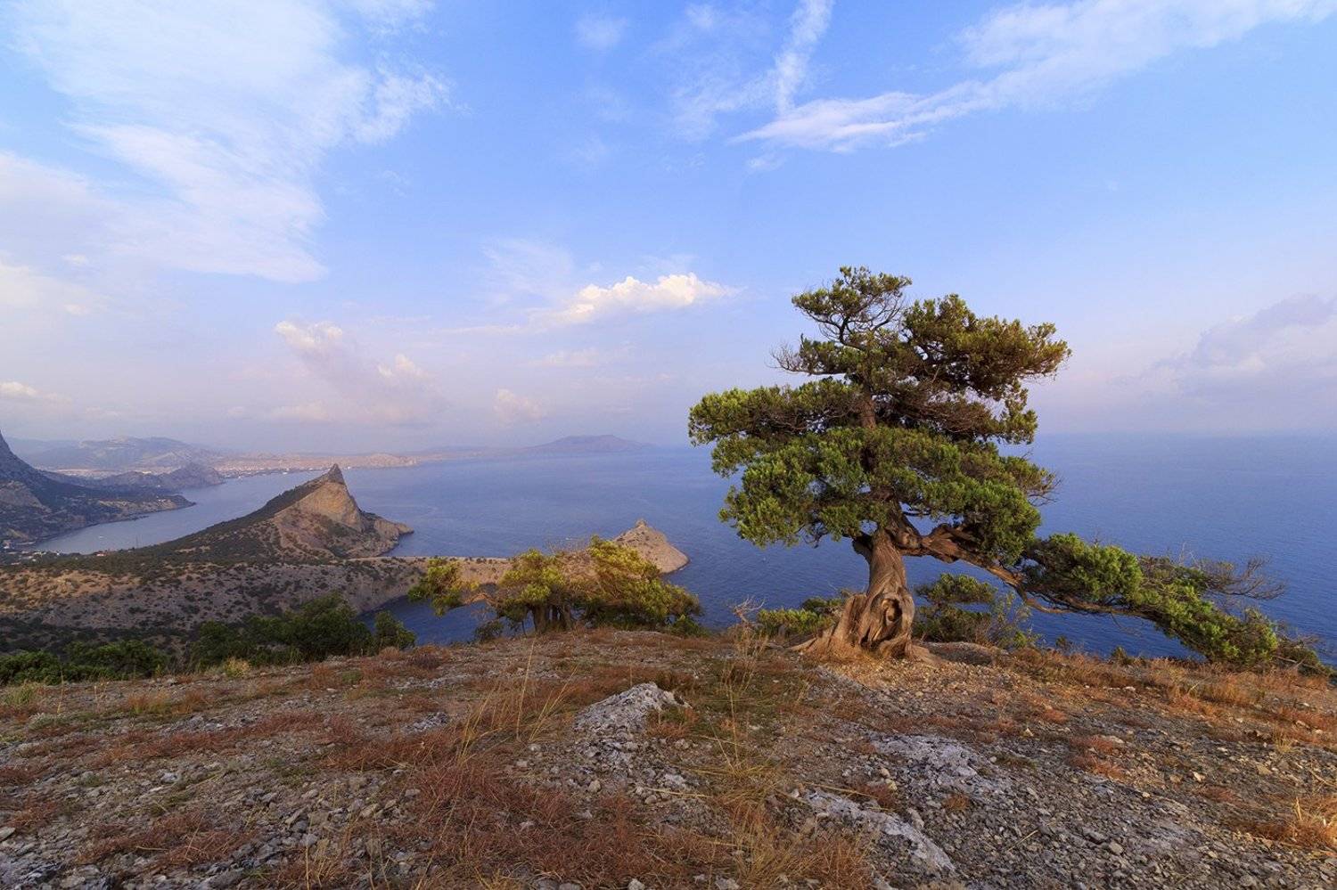 , Инна Богуславская