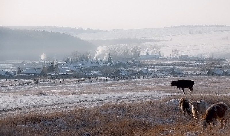 * фото превью