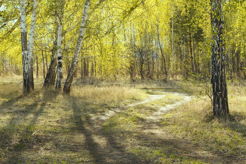 Майский свет фото превью