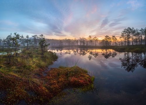 Утро художника