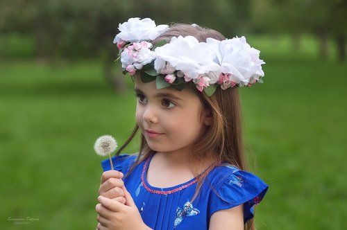 Марьяна и одуванчик
