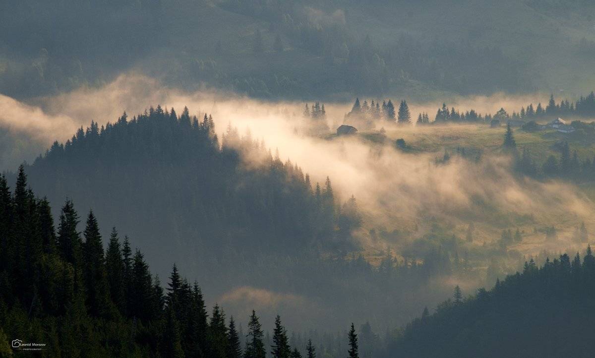 рассвет., , туман., , карпаты., , горы., Леонид Морозов