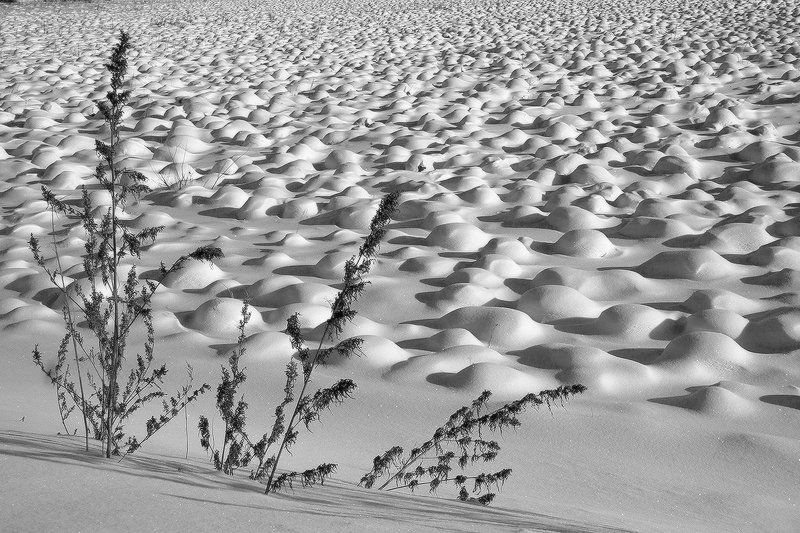 *************** фото превью