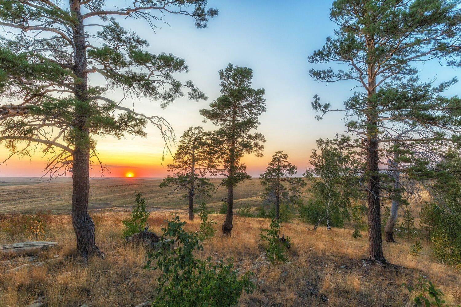 , Павел Сагайдак