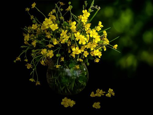 yellow flower kingcup buquet