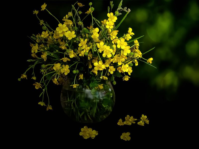 yellow flower kingcup buquet фото превью