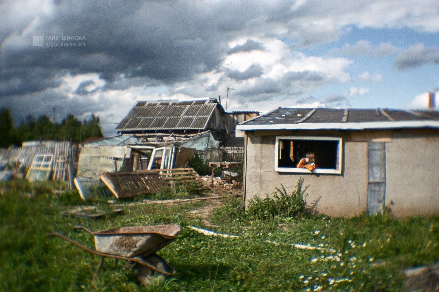 , Таня Шилова