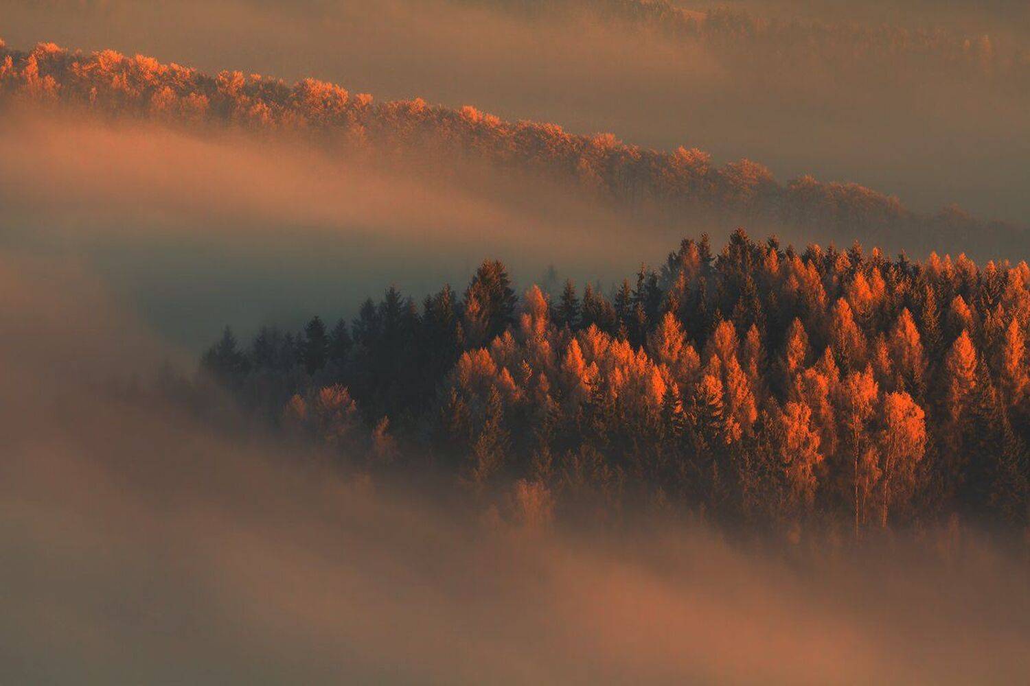 landscape,canon,winter,sunrise, Iza,Darek