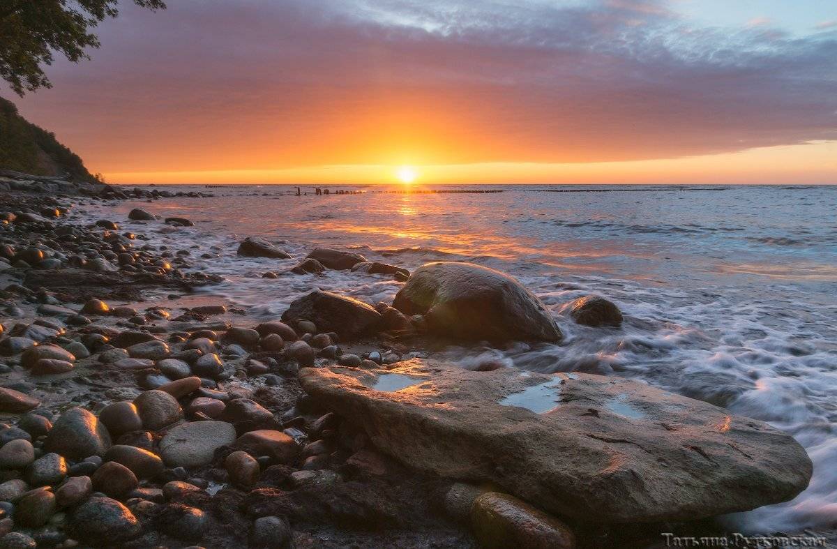 , Татьяна Рутковская