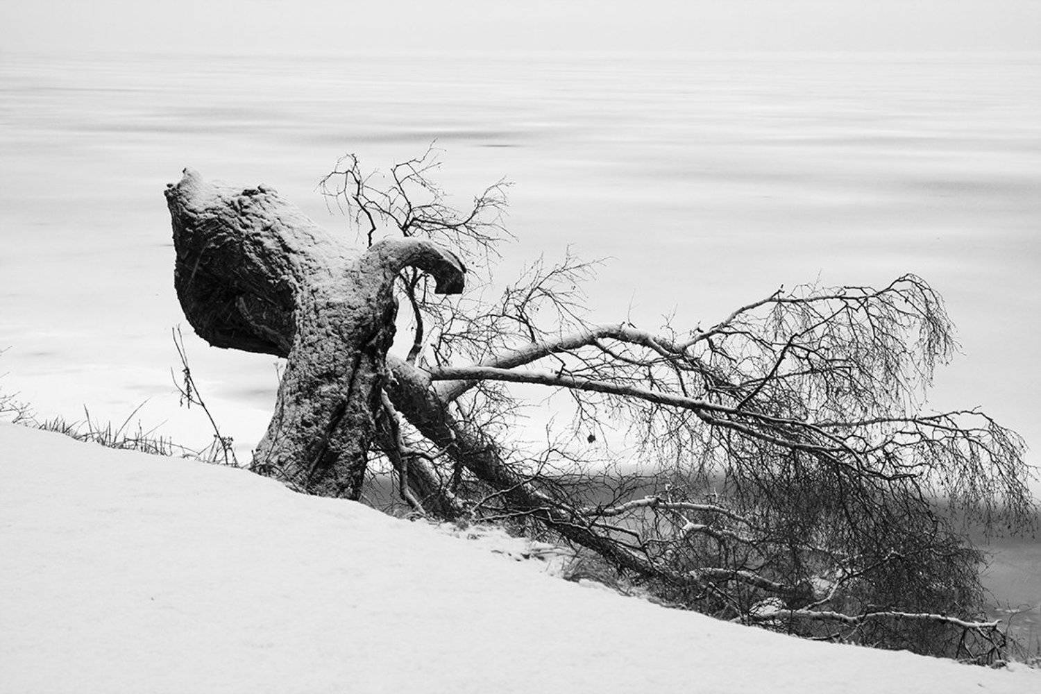 пейзаж, выборг, парк, монрепо, парк, монрепо,, Евгений Корниенко