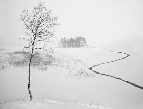 Сказки парка Монрепо. Выборг 3