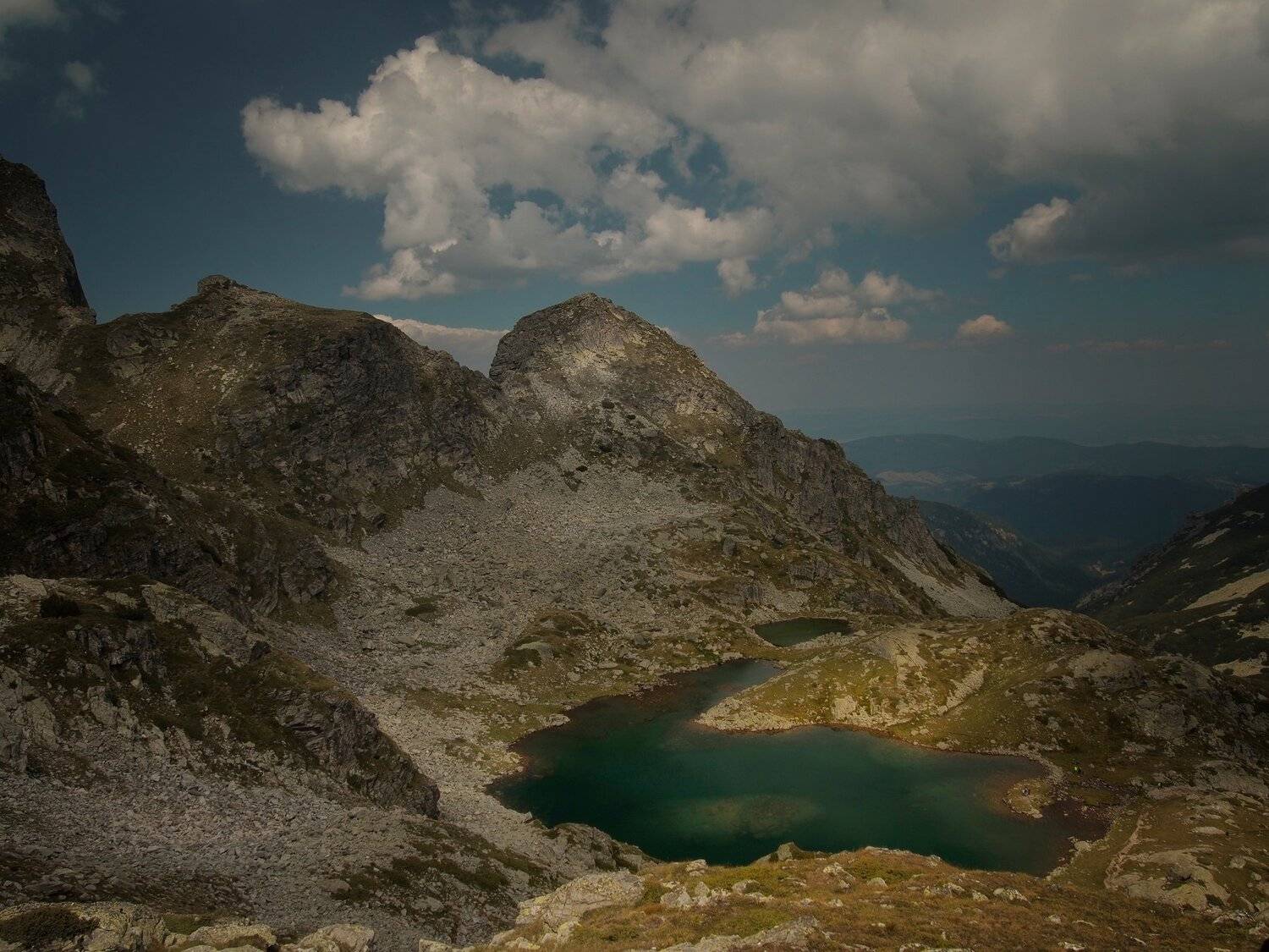 , Димитър Стоянов