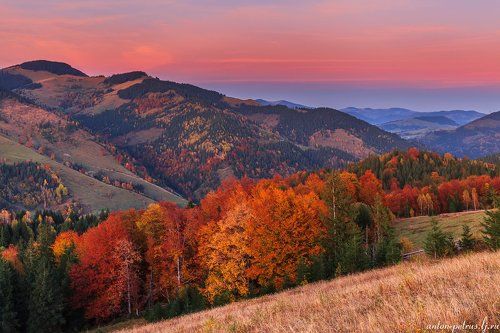 Осеннее пламя Карпат