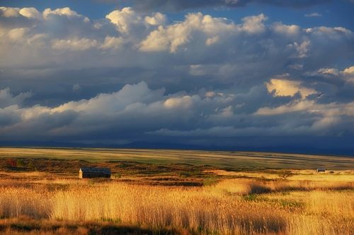 Сельские просторы