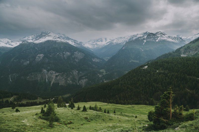 Ускользало альпийское лето фото превью