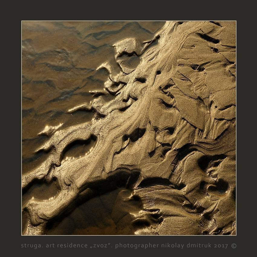 , николай дмитрук