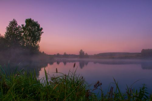 Однажды туманным утром...