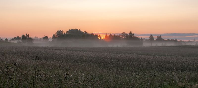 sunrise,fields,fog,summer Sunrise... фото превью