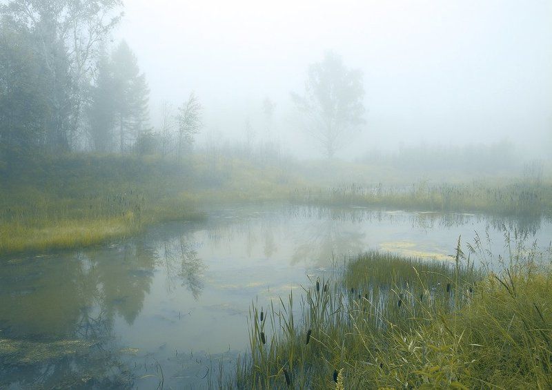 * фото превью