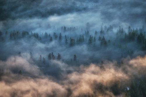 Якутия. Лесные призраки.
