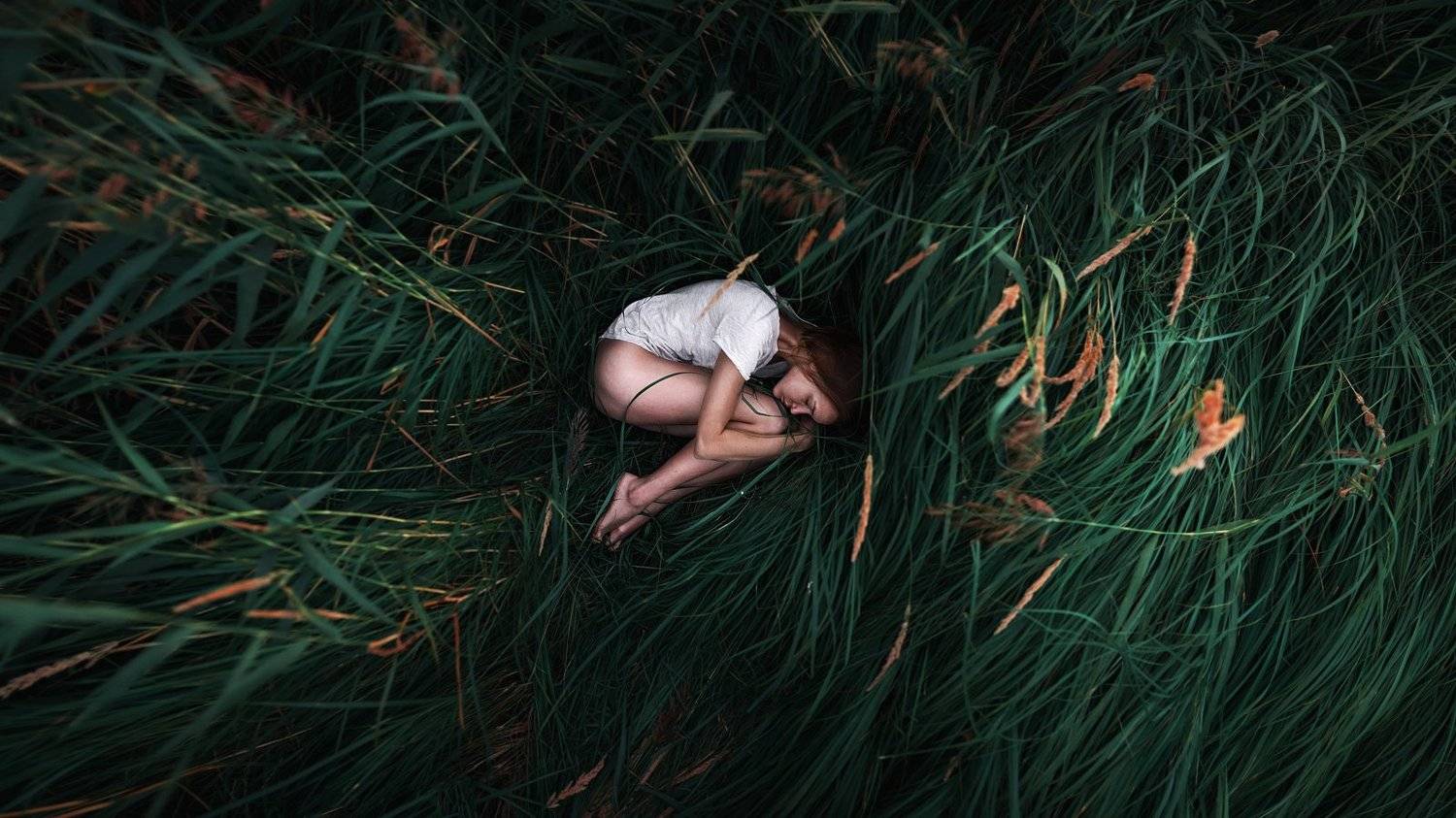 , Максим Густарев