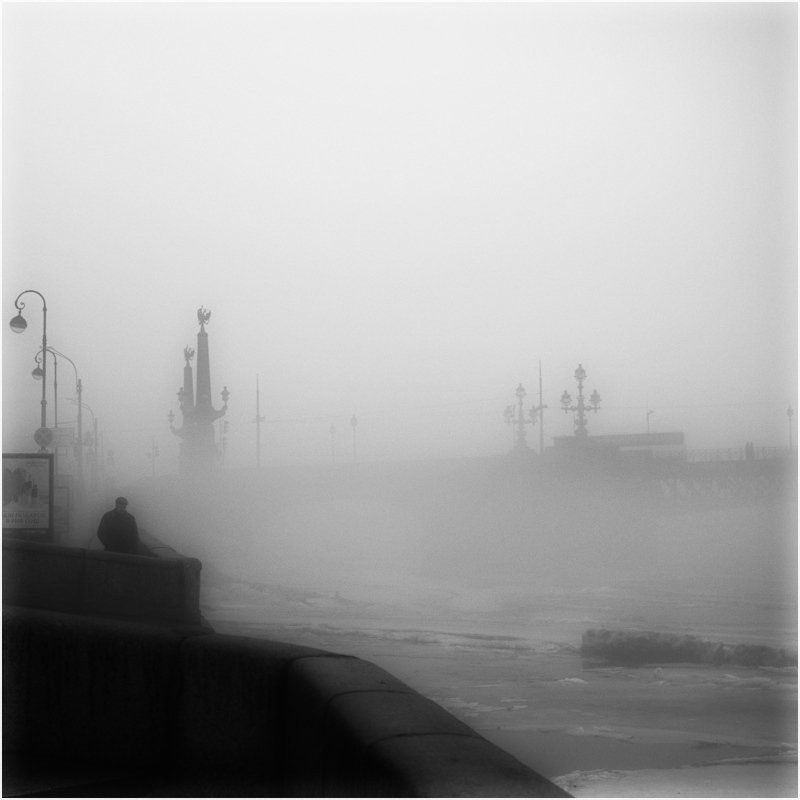 447 фото превью