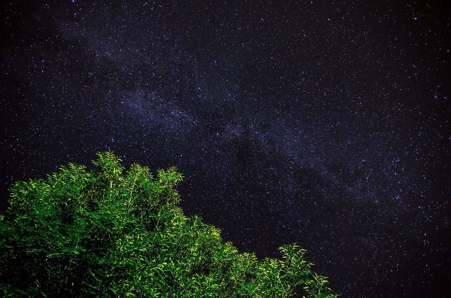 , Чурляев Максим