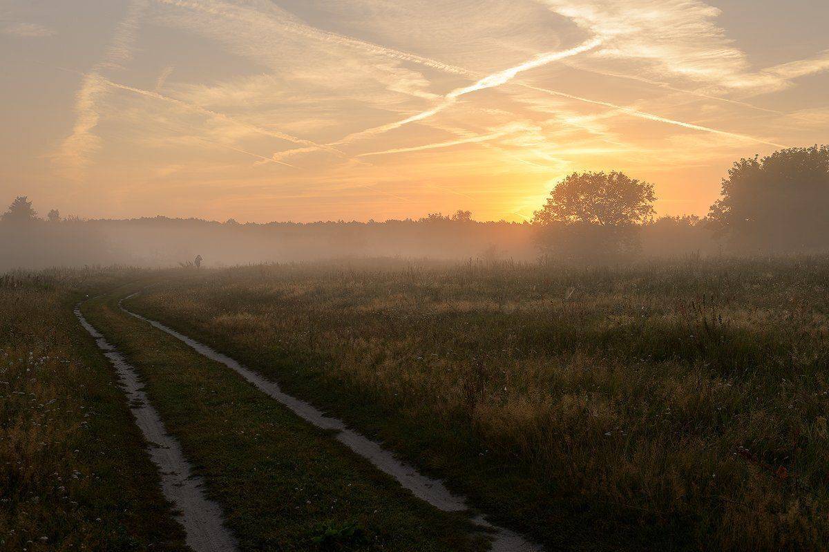 пейзаж,природа,рассвет,утро,туман,россия,лето,красота,дорога,человек, Юлия Лаптева