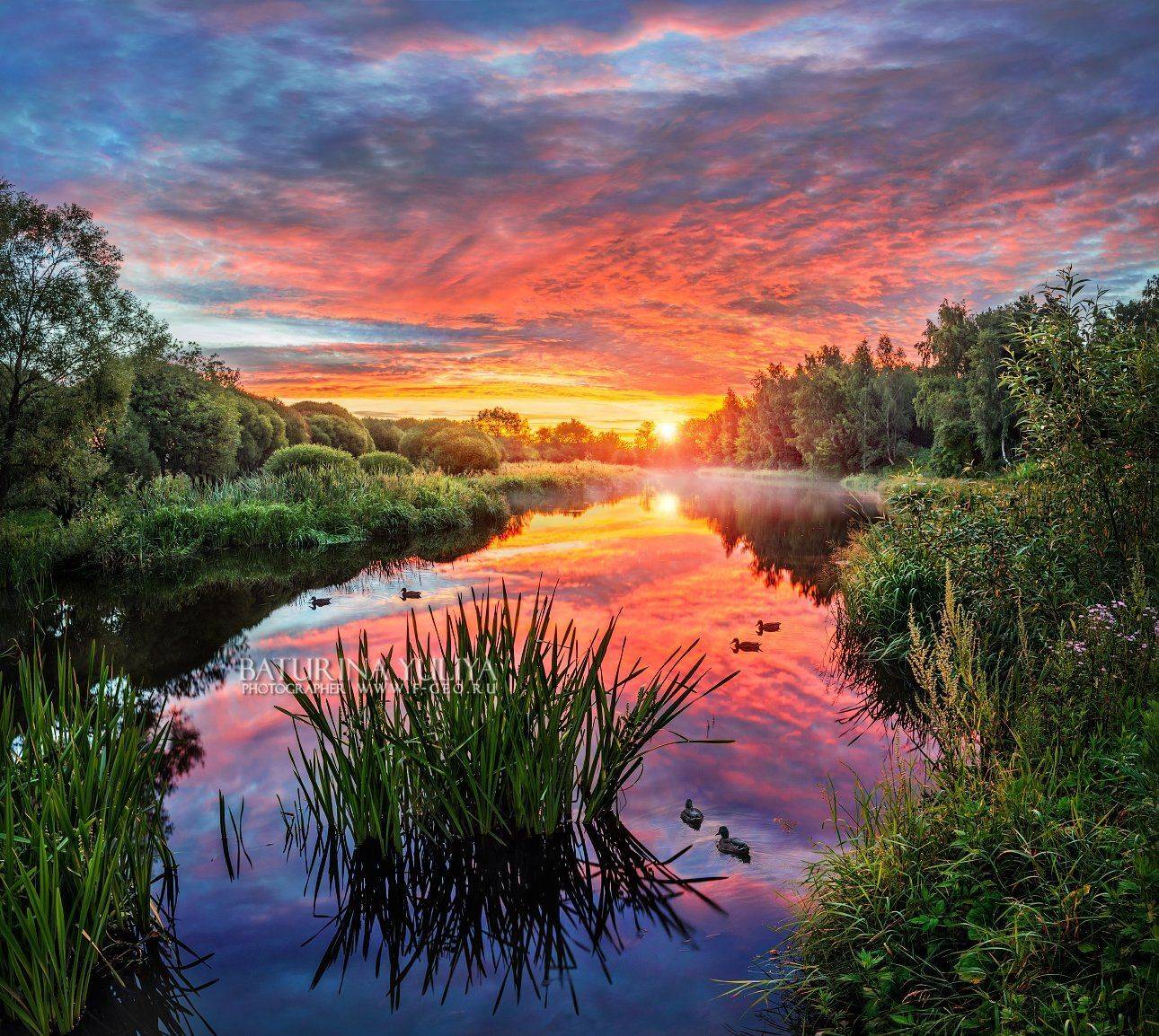 пейзаж, рассвет, река, утка, камыши, отражение, Юлия Батурина