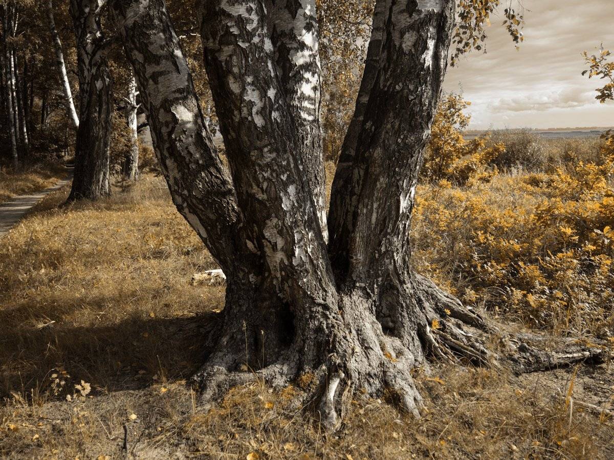 , Штабнов Юрий