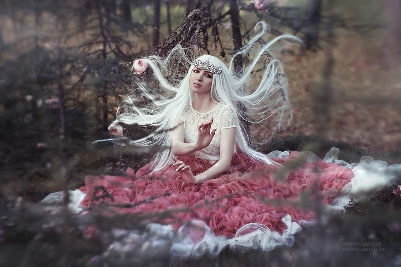 *** фото превью