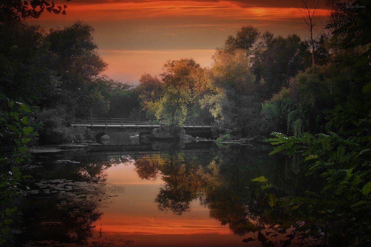 лето, август, ставок,мост, Roma  Chitinskiy