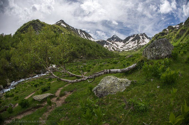 ПО ДОРОГЕ НА ДУККИНСКИЕ ОЗЁРА фото превью