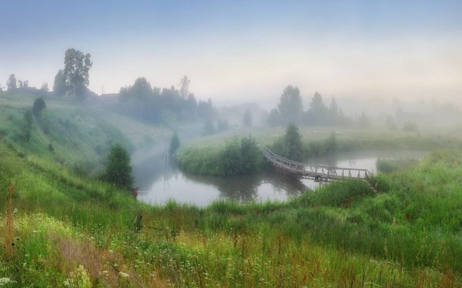 , Дмитрий Медянцев