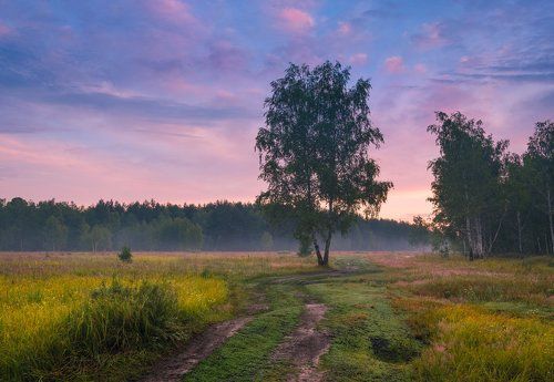 Рассвет в клубничной акварели