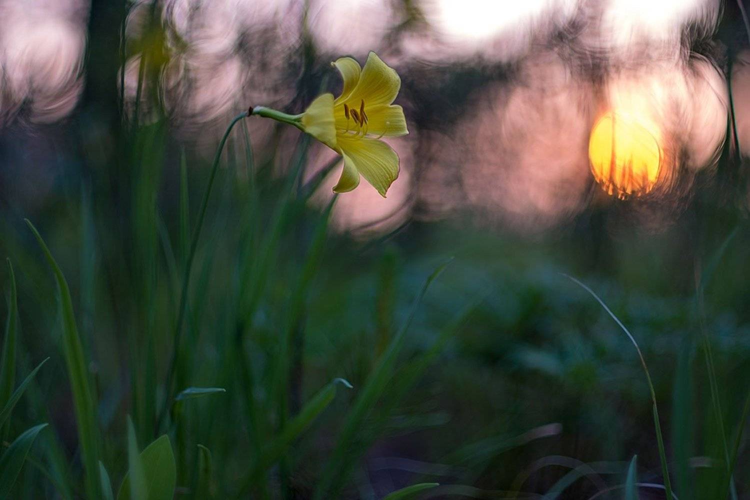 , Сергей Брагин
